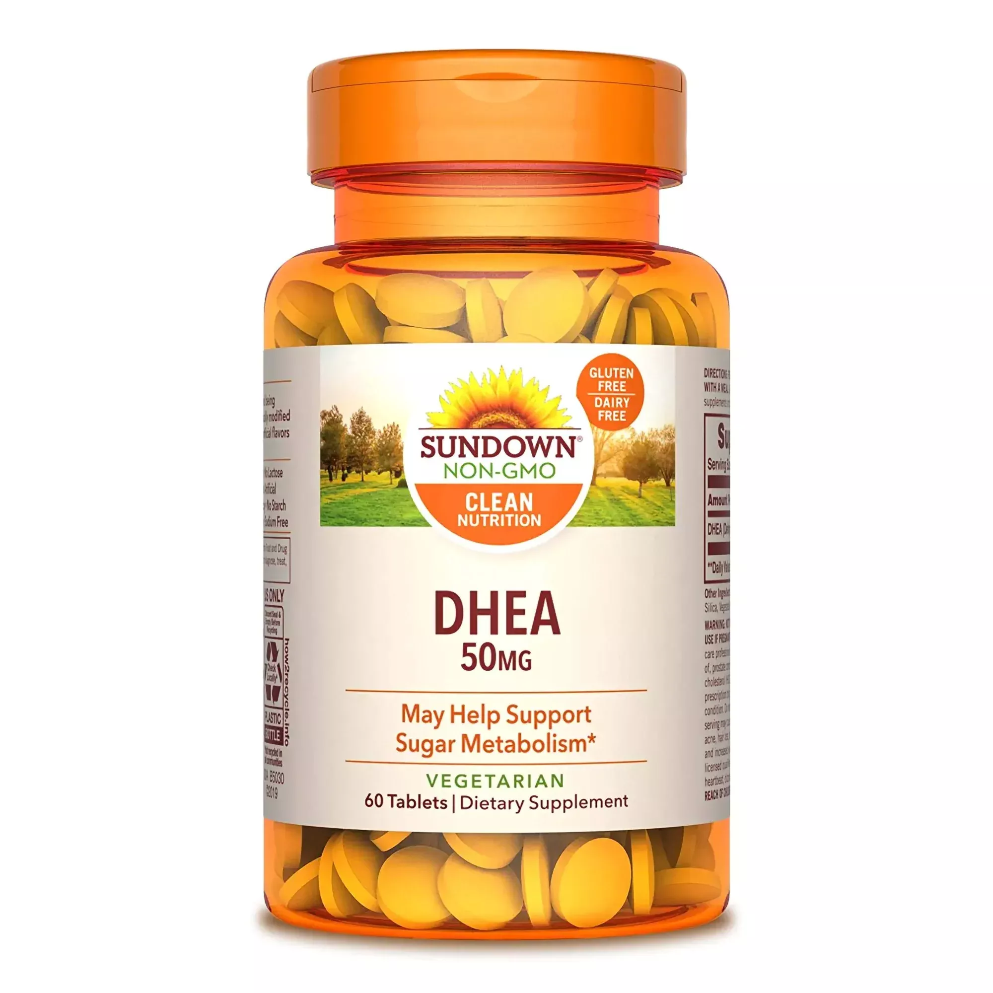 Sundown Naturals DHEA Dietary Supplement, 1 Bottle