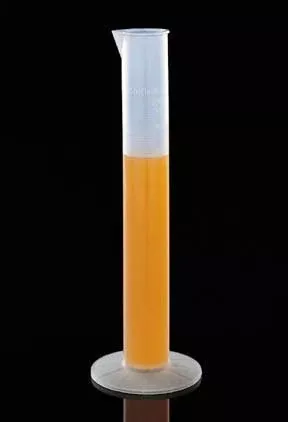 Thermo Scientific Nalgene Graduated Cylinder, 1 Each